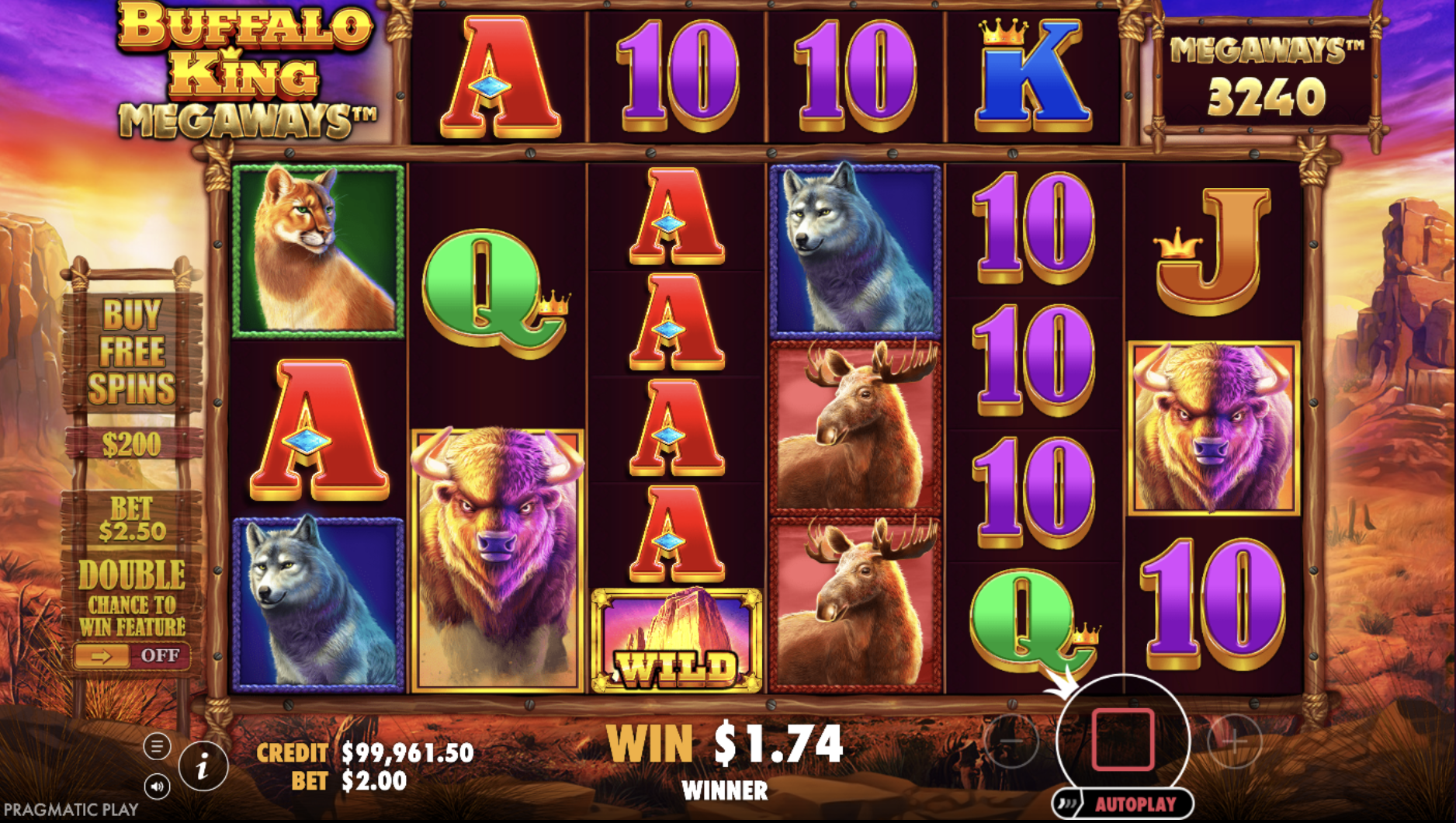 Bankroll management strategy in Buffalo King Megaways