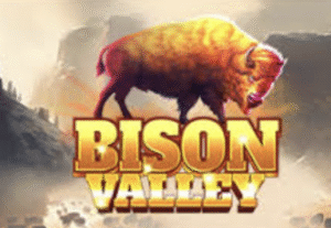 Bison Valley