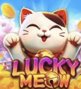 Lucky Meo Meo