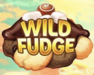 Wild Fudge
