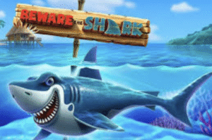 Beware the Shark