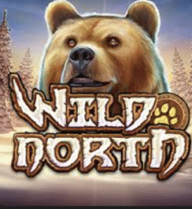 Wild North