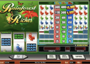Rainforest Riches