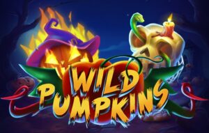 Wild Pumpkins