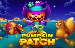 Pumpkin Patch