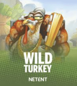 Wild Turkey